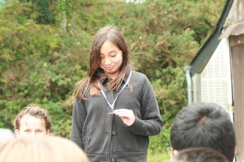 img 3215-copier