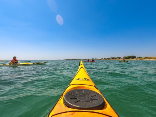 DCIM100GOPROGOPR0735.JPG