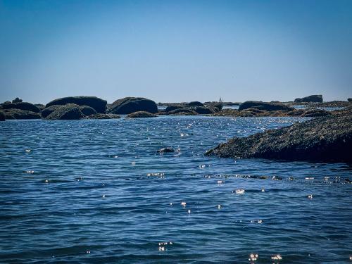 2024-05-Adlultes-Mer-Blanche-a-Mousterlin-20