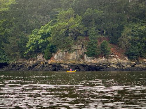 IMG-20240622-WA0039