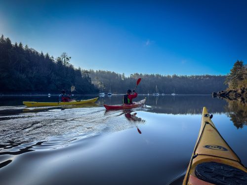 2026-01-17-Sortie-du-matin-sur-lOdet-3