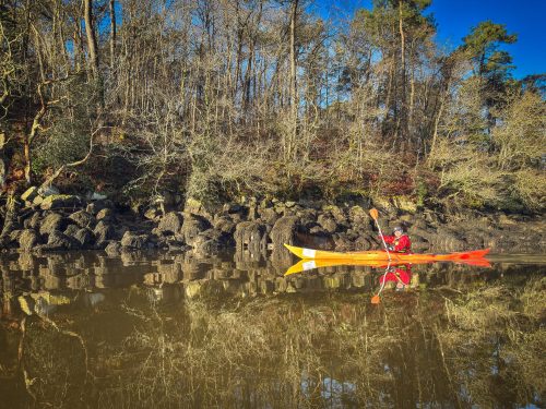 2026-01-17-Sortie-du-matin-sur-lOdet-5