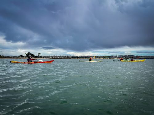 2026-03-14 Adultes - Cap coz vers Concarneau