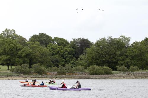 fabriceimg 1033
