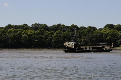 DSC2494-Copier