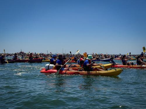 IMG 4242-2