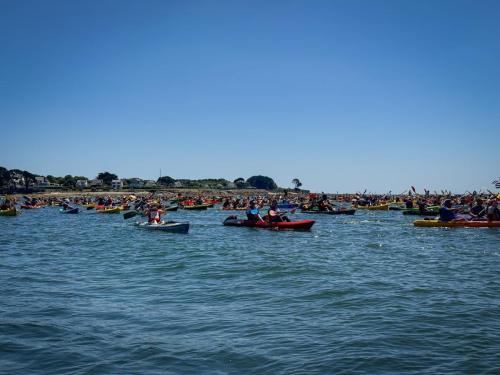 IMG 4244-2