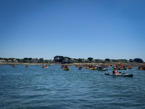 IMG 4245-2