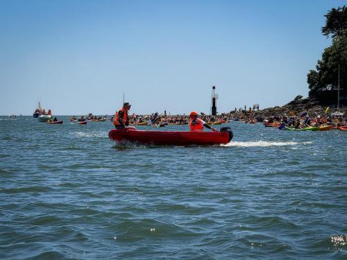 IMG 4295-2